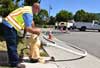 A water operator opens a hydrant to flush a drinking water main.