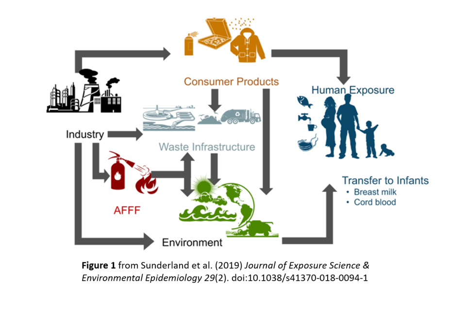 Graphic showing how PFAS is exposed to humans via industry, consumer products, waste infrastructure, firefighting foam, and the environment.