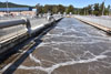 Bubbling water at one end of an aeration basin at the plant.