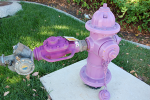 Recycled water hydrant with properly connected meter